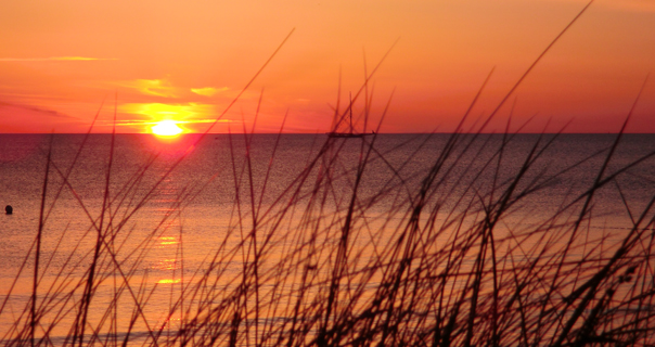 Dünenresidenz Karlshagen | Urlaub im kleinen Paradies | Ferienwohnung Swientek