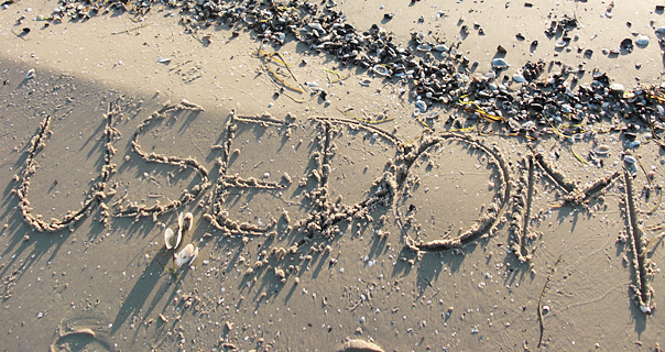 Dünenresidenz Karlshagen | Urlaub im kleinen Paradies | Ferienwohnung Swientek